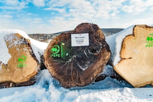 Submission 2021_POMASSL-09406