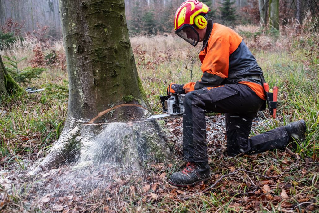 FARMINAR-WALDARBEIT_2019-12-17_003__P9T5585_(c)Ing. Gerald PFABIGAN
